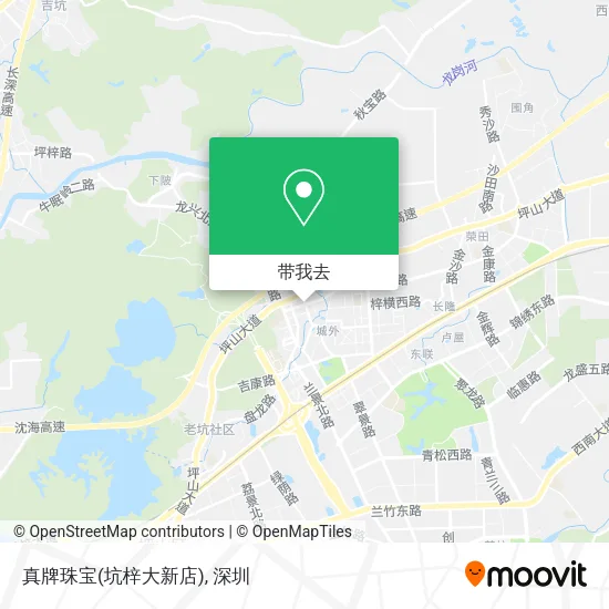 真牌珠宝(坑梓大新店)地图
