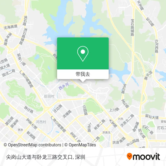尖岗山大道与卧龙三路交叉口地图