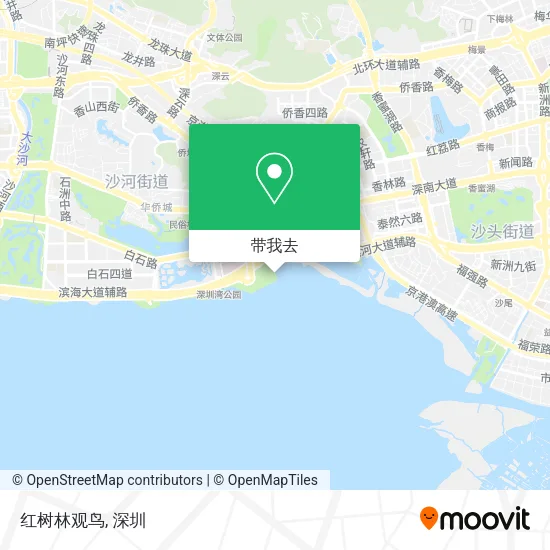 红树林观鸟地图