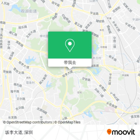 坂李大道地图