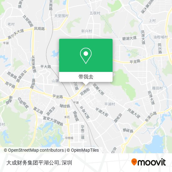 大成财务集团平湖公司地图