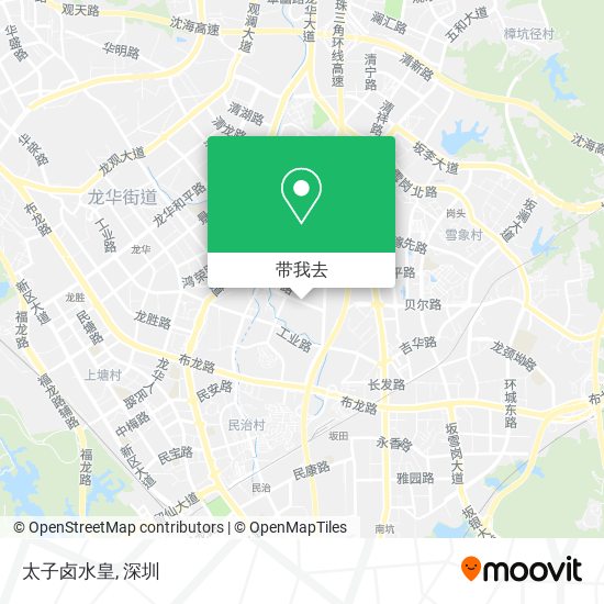 太子卤水皇地图