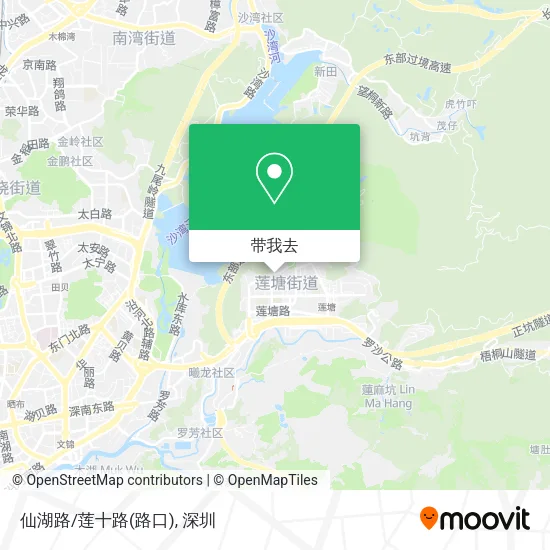 仙湖路/莲十路(路口)地图