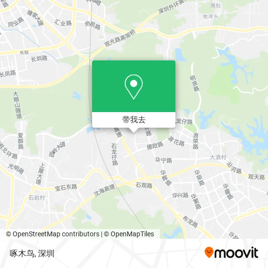 啄木鸟地图