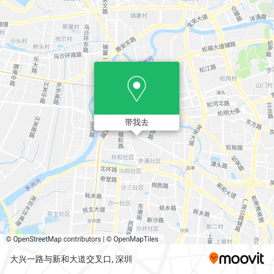 大兴一路与新和大道交叉口地图