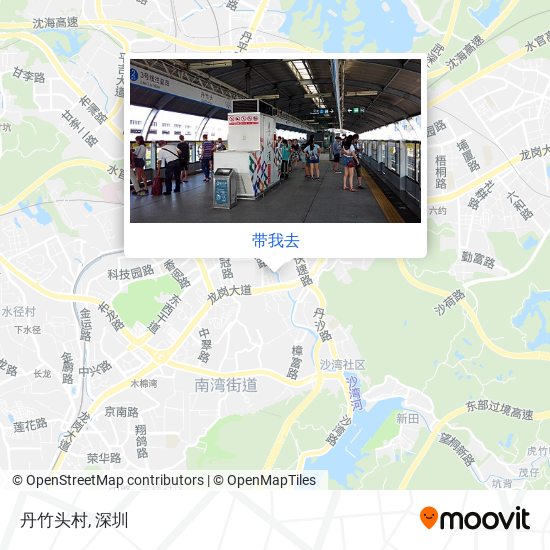 丹竹头村地图