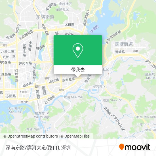 深南东路/滨河大道(路口)地图