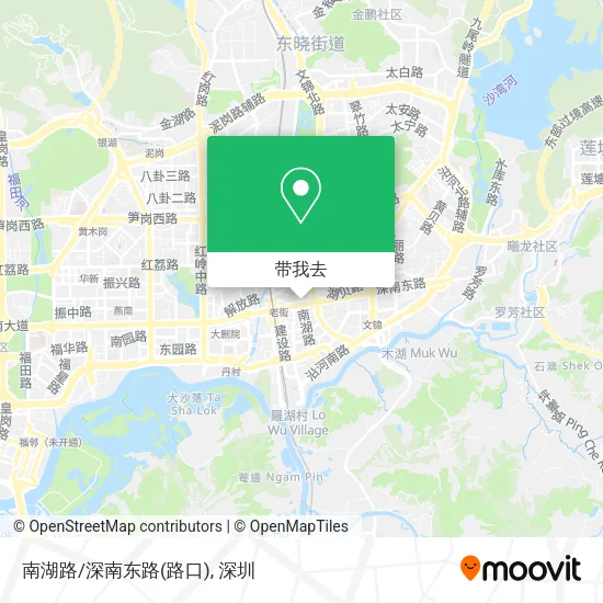 南湖路/深南东路(路口)地图