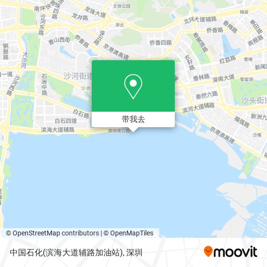 中国石化(滨海大道辅路加油站)地图