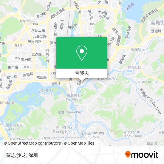 葵恩沙龙地图