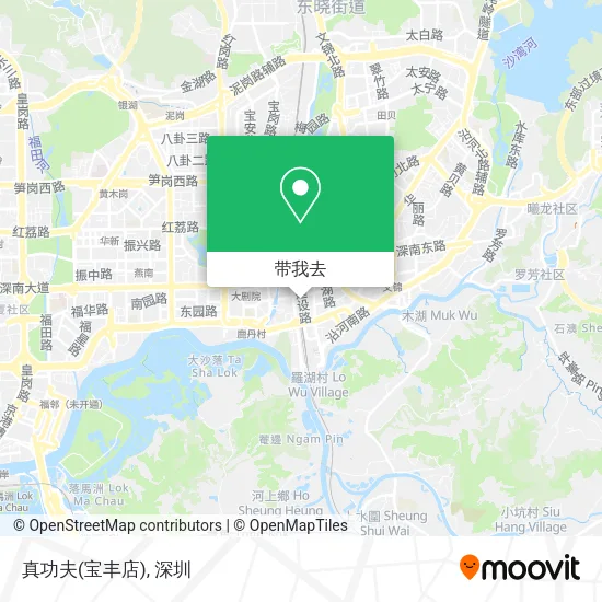 真功夫(宝丰店)地图