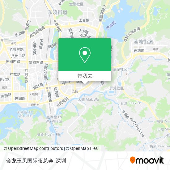 金龙玉凤国际夜总会地图