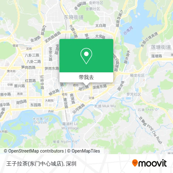 王子拉茶(东门中心城店)地图