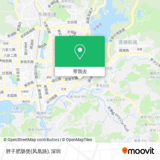 胖子肥肠煲(凤凰路)地图