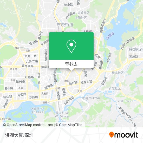 洪湖大厦地图