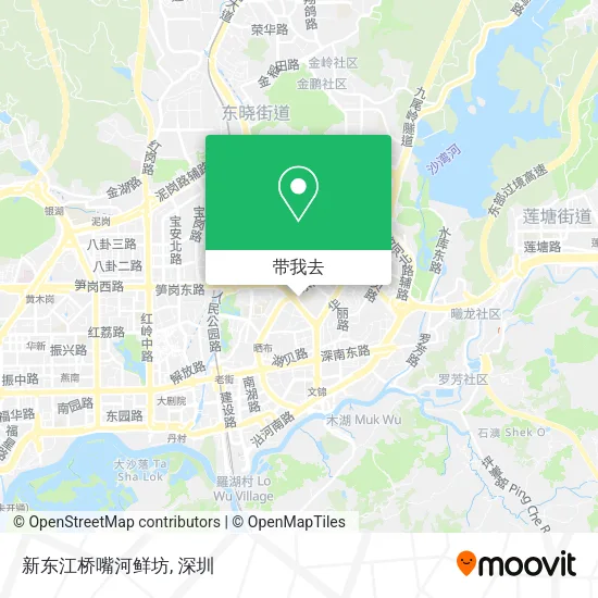 新东江桥嘴河鲜坊地图