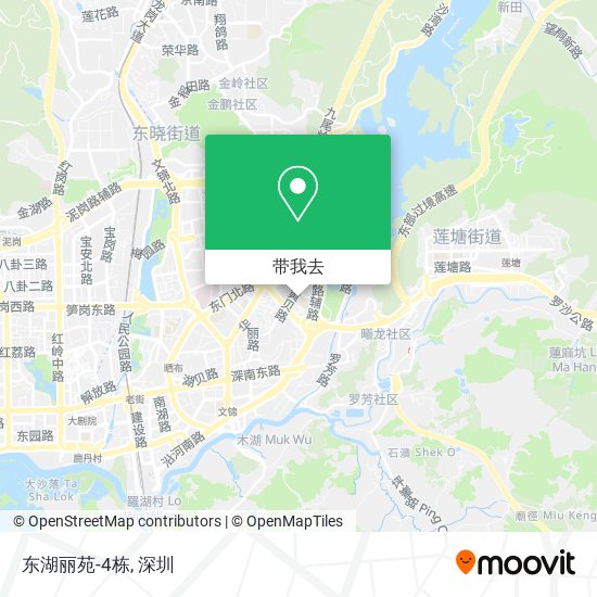 东湖丽苑-4栋地图