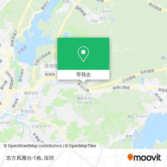 东方凤雅台-1栋地图