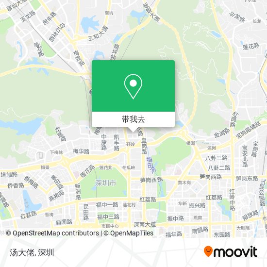 汤大佬地图