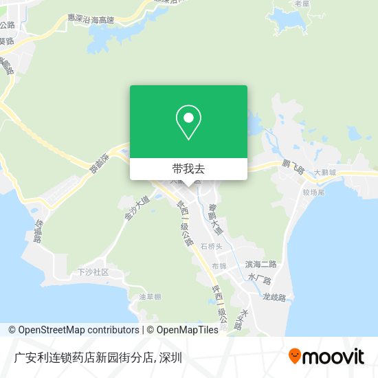 广安利连锁药店新园街分店地图