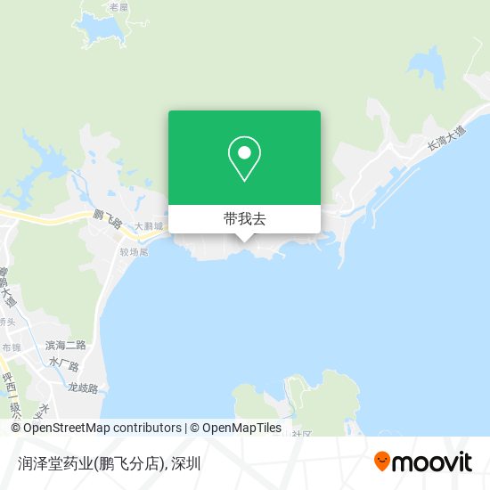润泽堂药业(鹏飞分店)地图