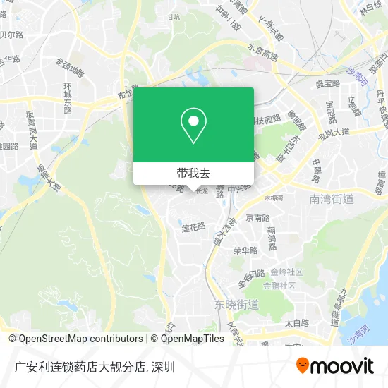 广安利连锁药店大靓分店地图