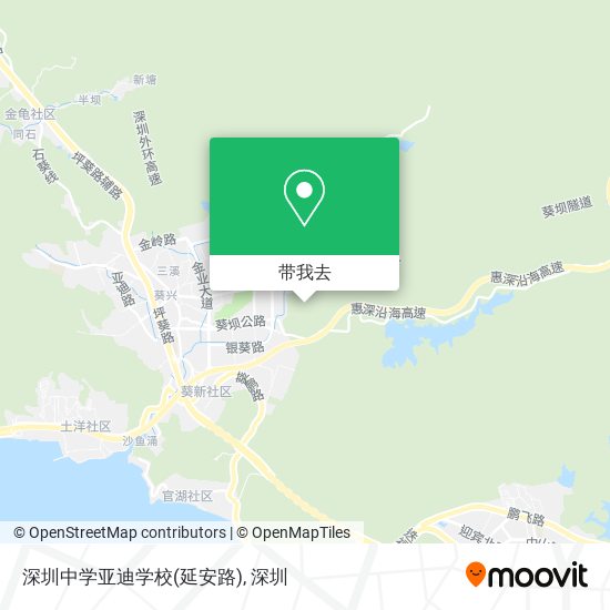 深圳中学亚迪学校(延安路)地图