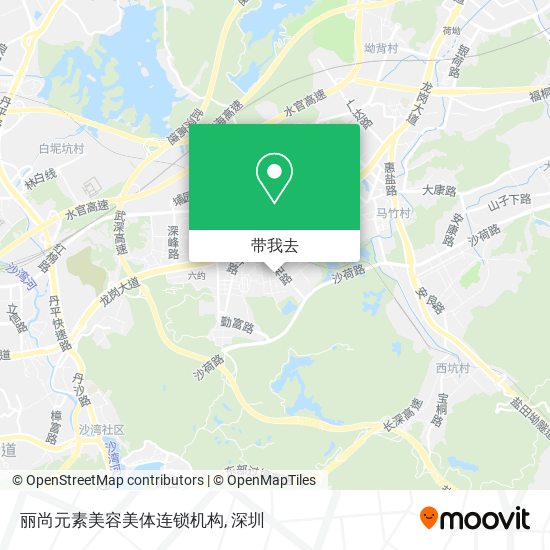 丽尚元素美容美体连锁机构地图
