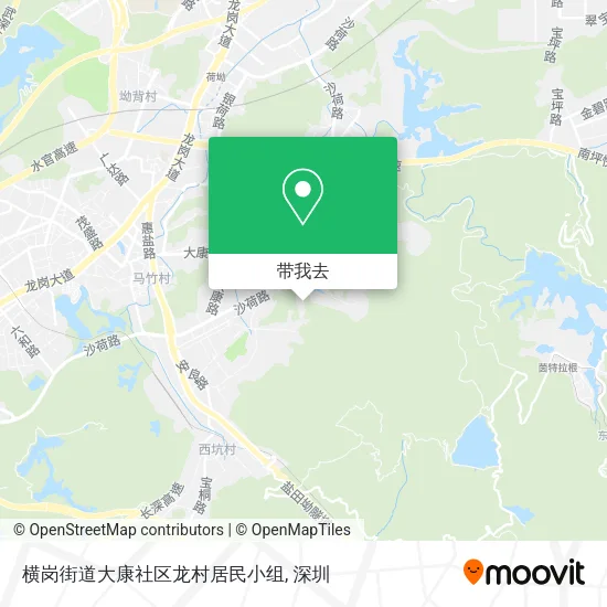 横岗街道大康社区龙村居民小组地图