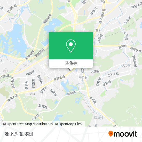 张老足底地图