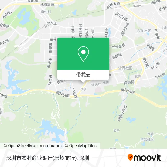 深圳市农村商业银行(碧岭支行)地图