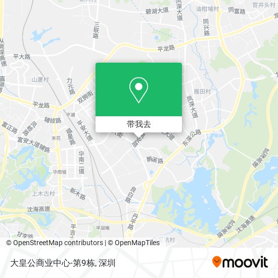 大皇公商业中心-第9栋地图