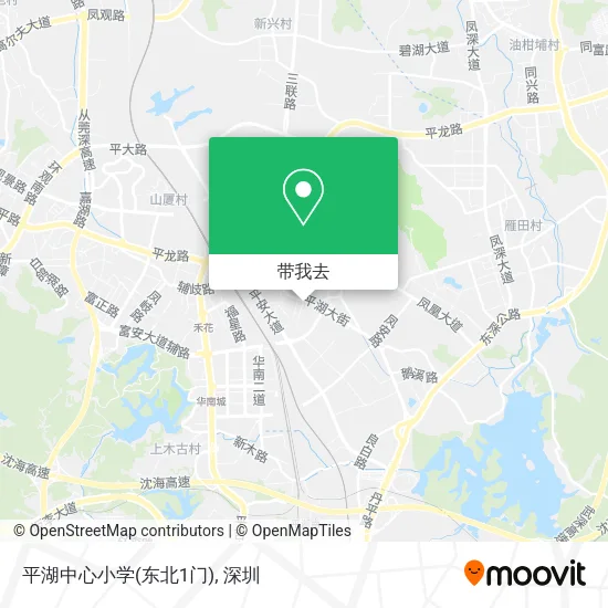 平湖中心小学(东北1门)地图