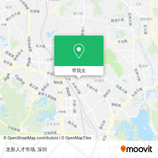 龙新人才市场地图