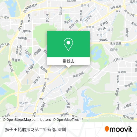 狮子王轮胎深龙第二经营部地图