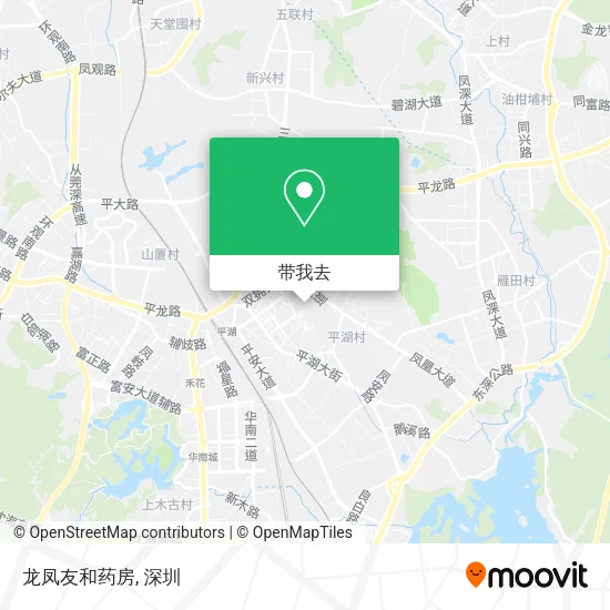 龙凤友和药房地图