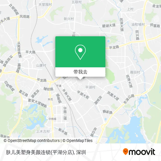 肤儿美塑身美颜连锁(平湖分店)地图