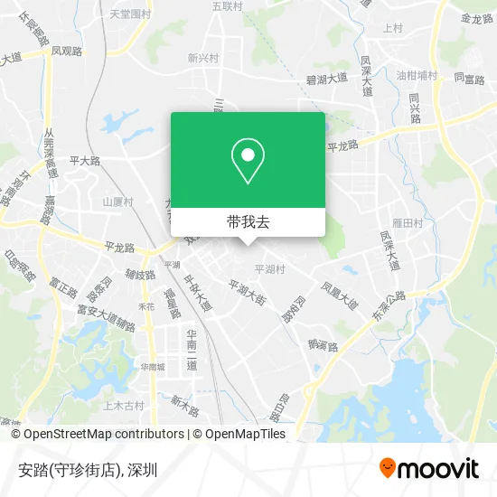 安踏(守珍街店)地图