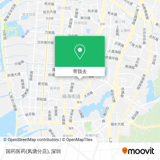 国药医药(凤塘分店)地图