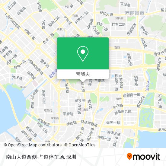 南山大道西侧-占道停车场地图