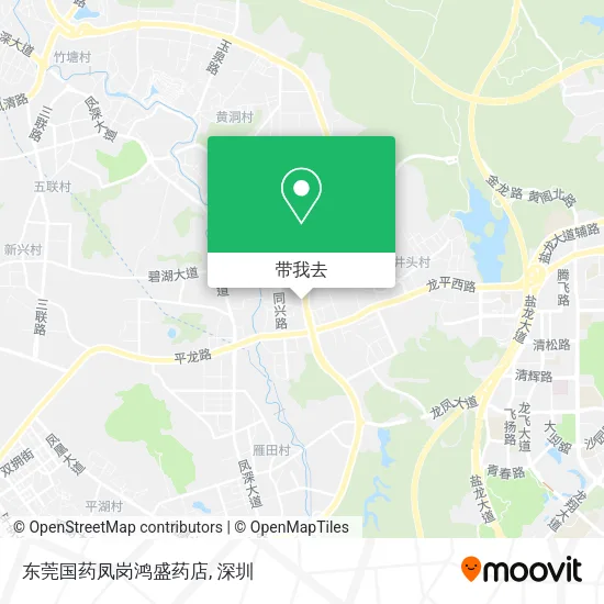 东莞国药凤岗鸿盛药店地图