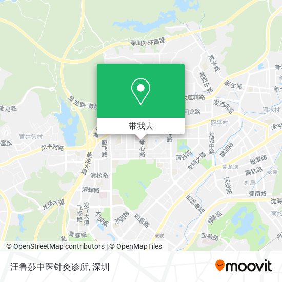 汪鲁莎中医针灸诊所地图