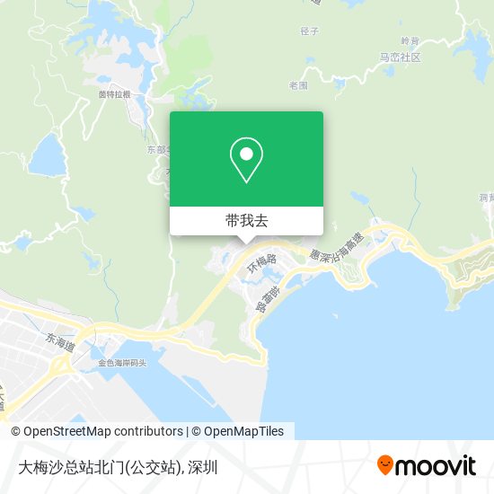 大梅沙总站北门(公交站)地图