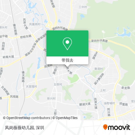 凤岗薇薇幼儿园地图