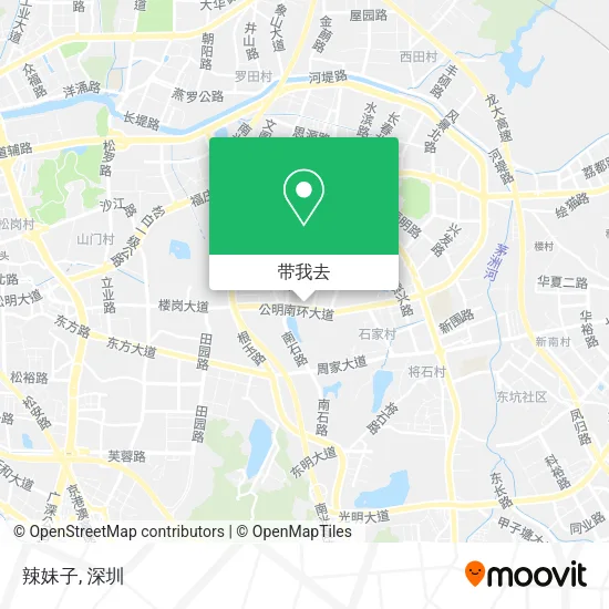 辣妹子地图