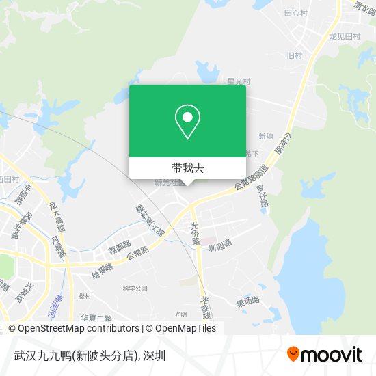 武汉九九鸭(新陂头分店)地图