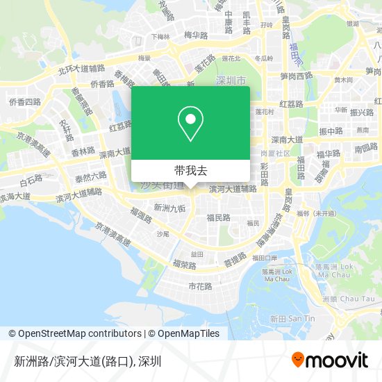新洲路/滨河大道(路口)地图