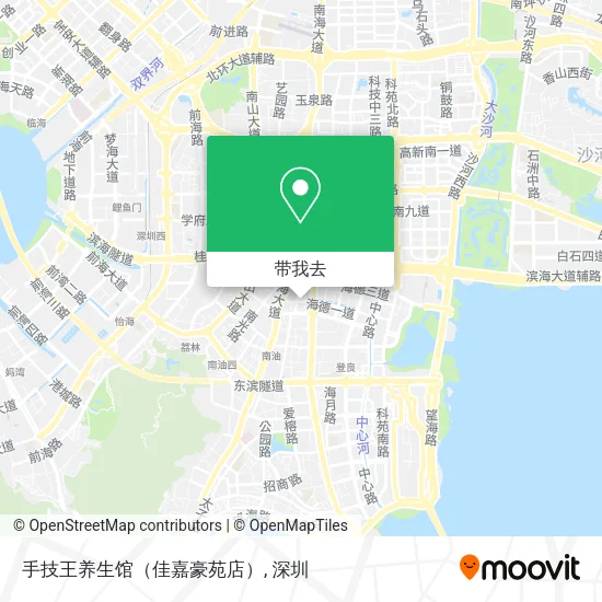 手技王养生馆（佳嘉豪苑店）地图