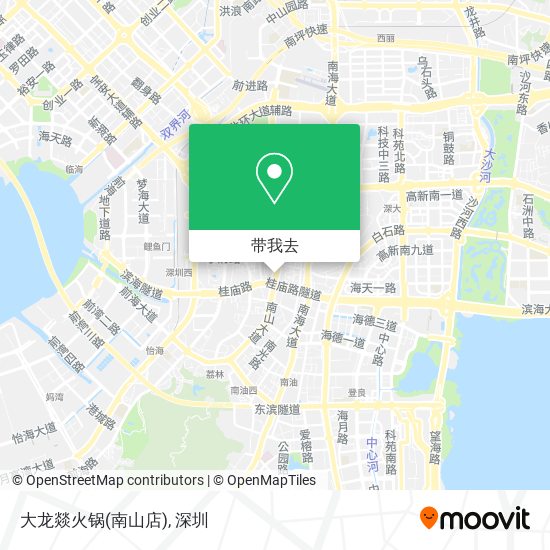 大龙燚火锅(南山店)地图