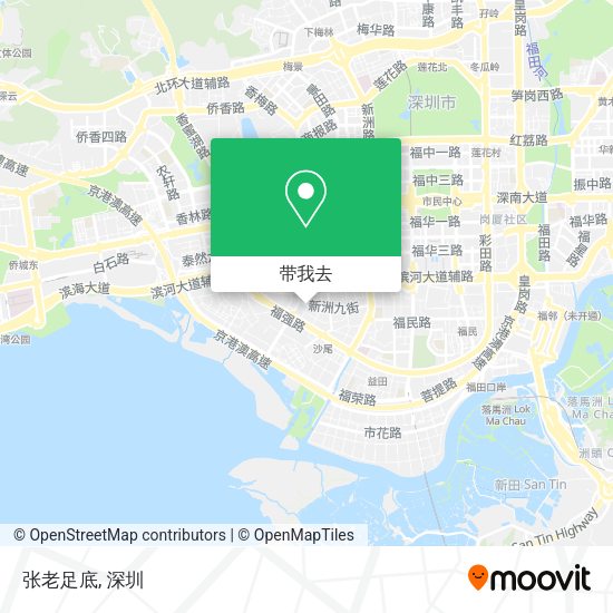 张老足底地图